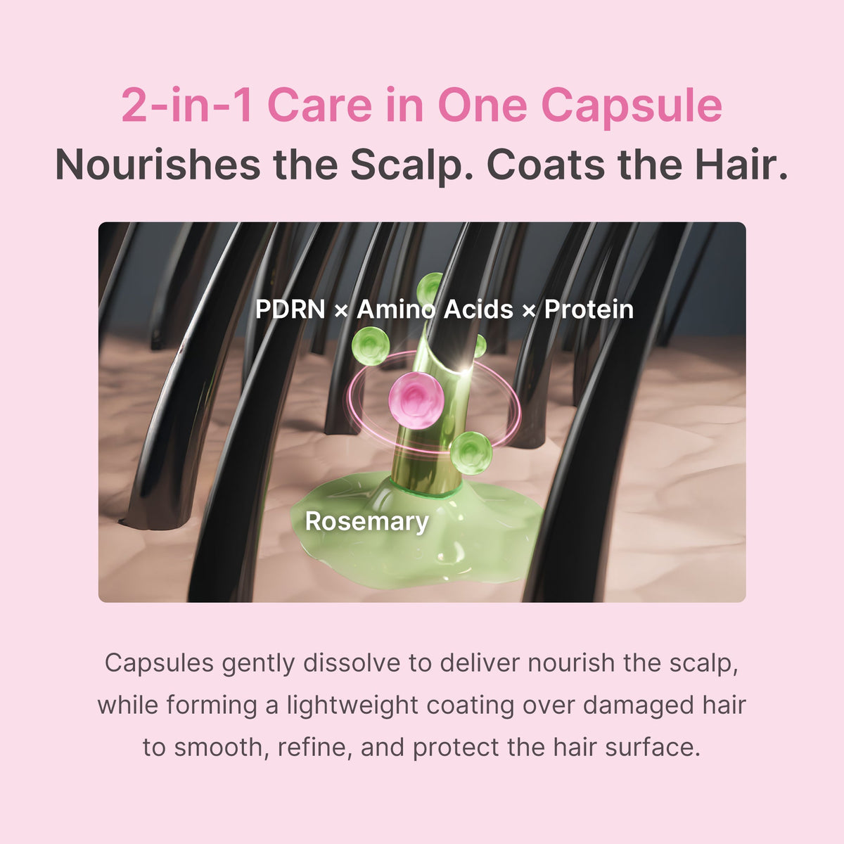 Rosemary PDRN Hair & Scalp Conditioner O1